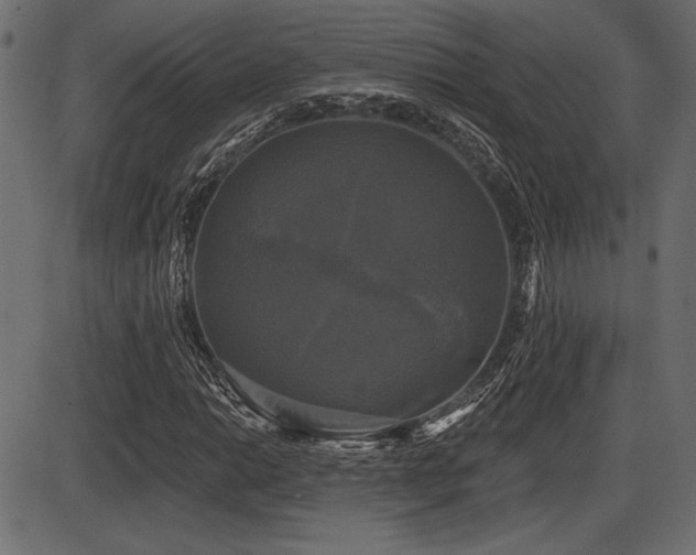X0000087631014200705031440