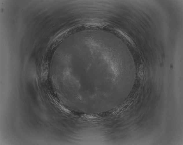 X0000087631015200705031440