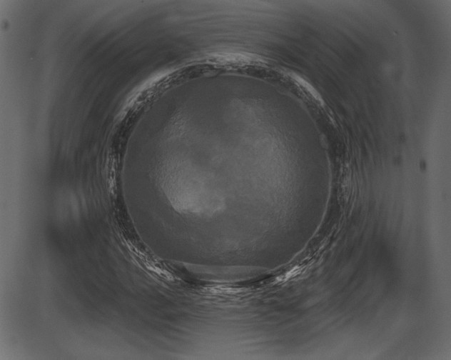 X0000087631016200705031440
