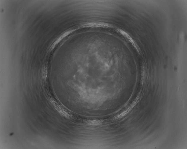 X0000087631017200705031440