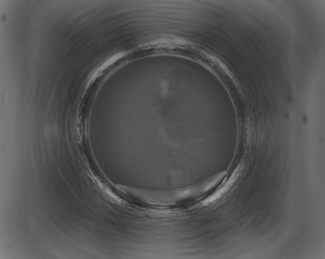 X0000087631018200705031440