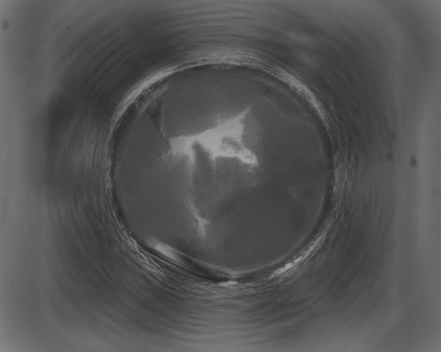 X0000087631019200705031440