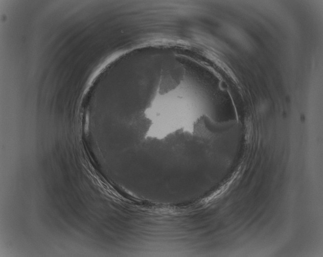 X0000087631021200705031440