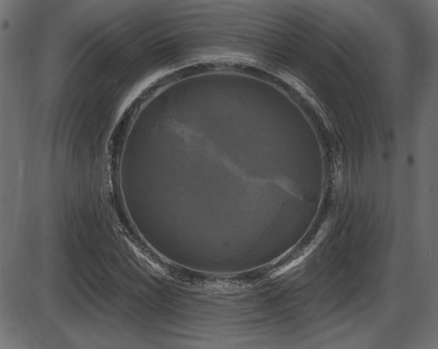 X0000087631022200705031440