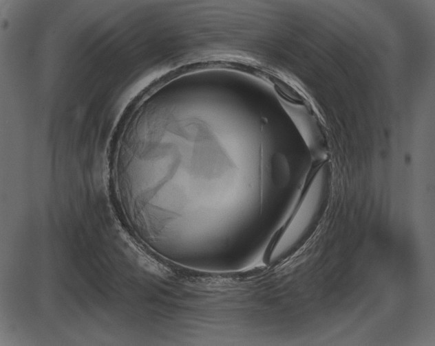 X0000087631024200705031440