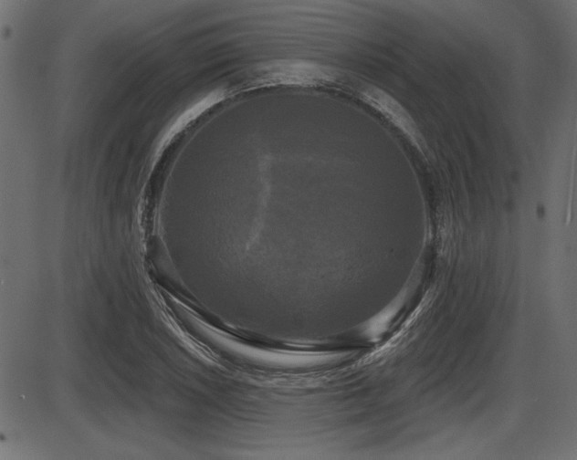 X0000087631026200705031440