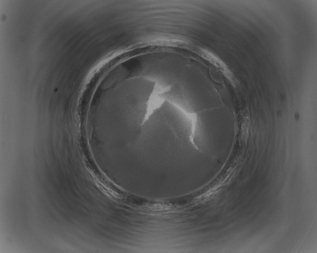 X0000087631027200705031440