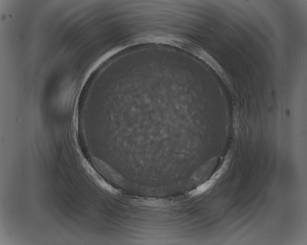 X0000087631028200705031440