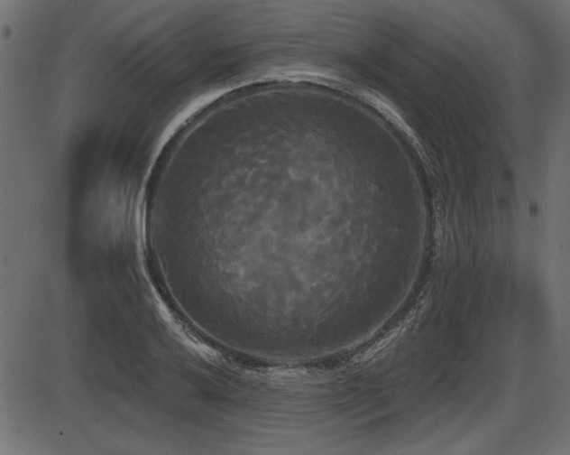 X0000087631032200705031440
