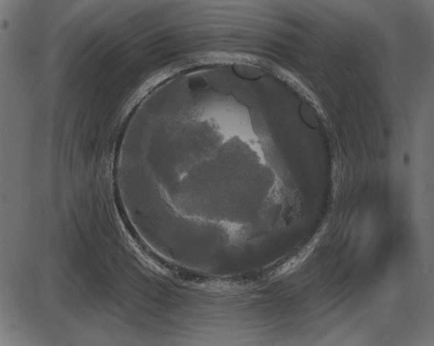 X0000087631033200705031440