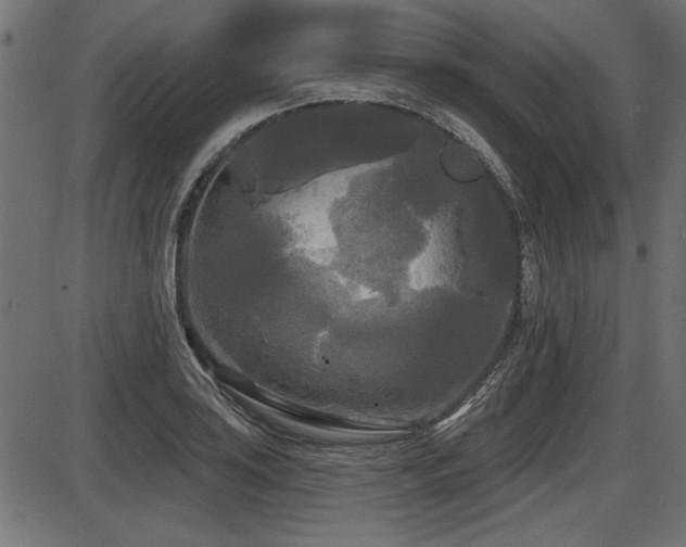 X0000087631035200705031440