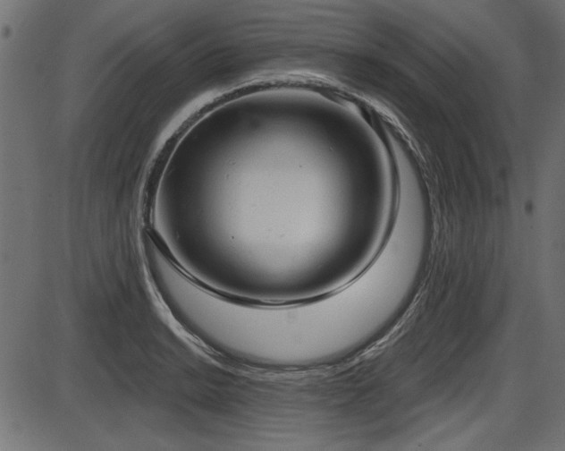 X0000087631038200705031440