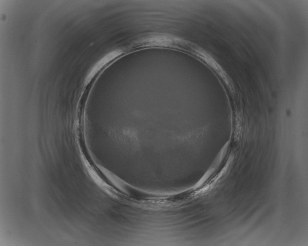 X0000087631042200705031440