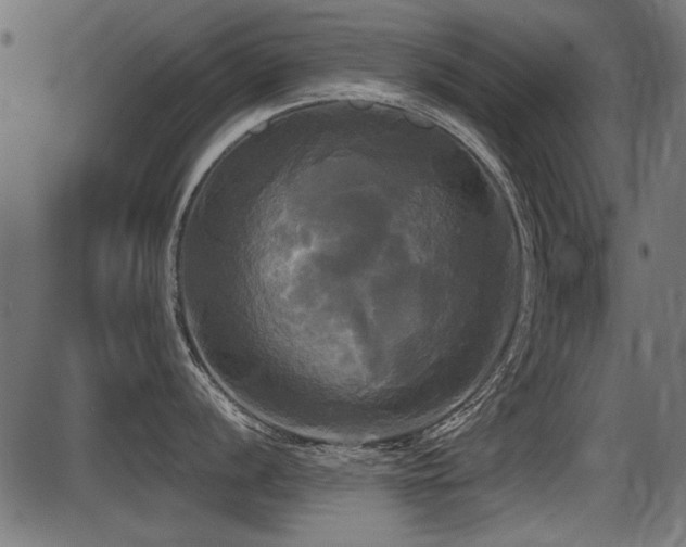 X0000087631056200705031441
