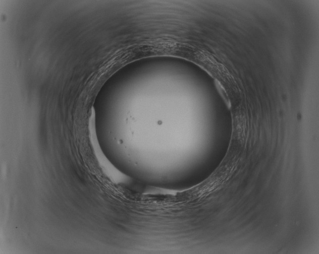 X0000087631057200705031440