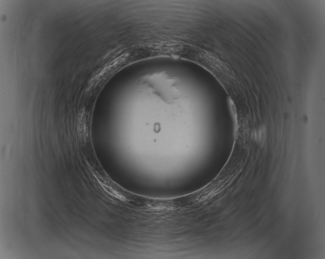 X0000087631058200705031440