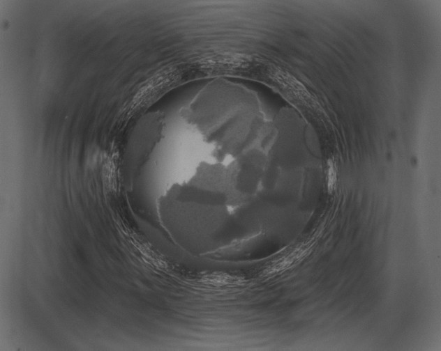 X0000087631059200705031440