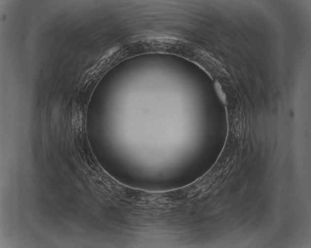 X0000087631061200705031440