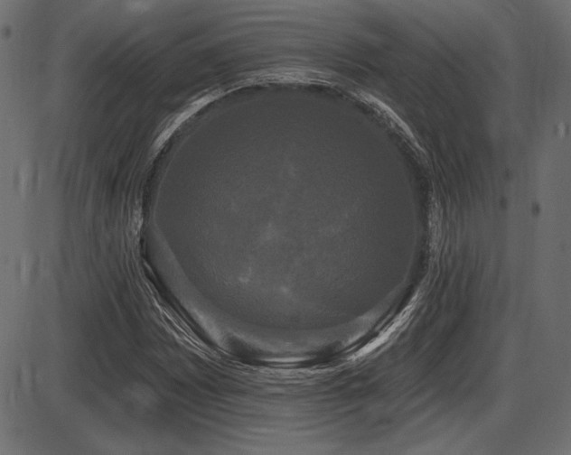 X0000087631065200705031440