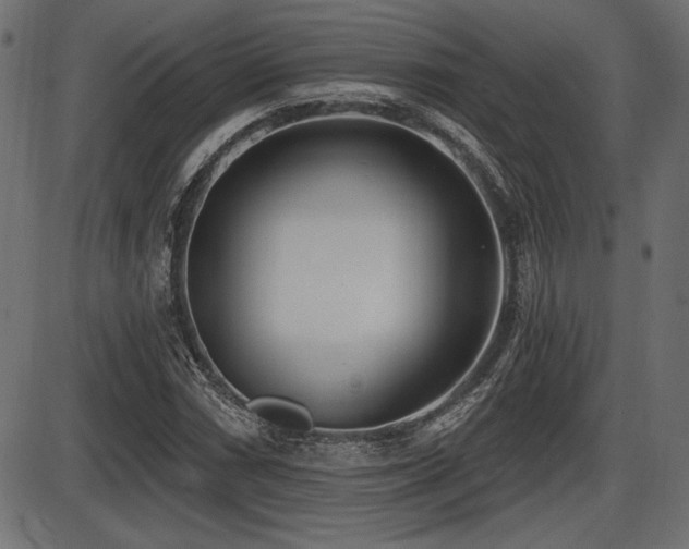 X0000087631066200705031440