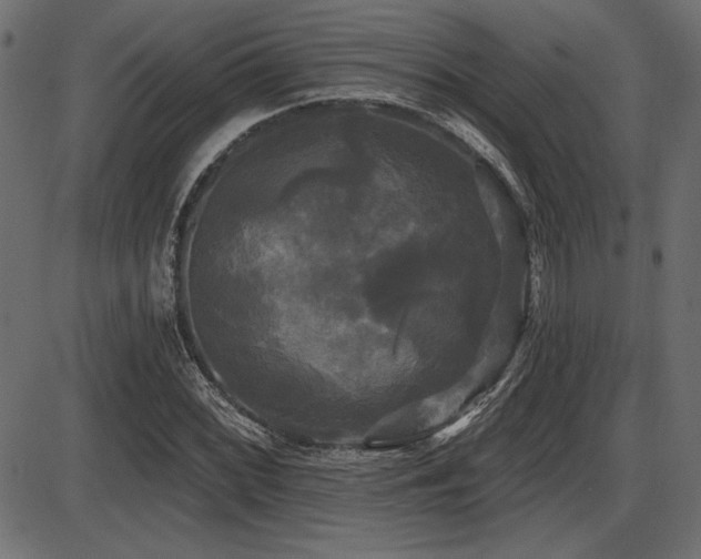 X0000087631068200705031440