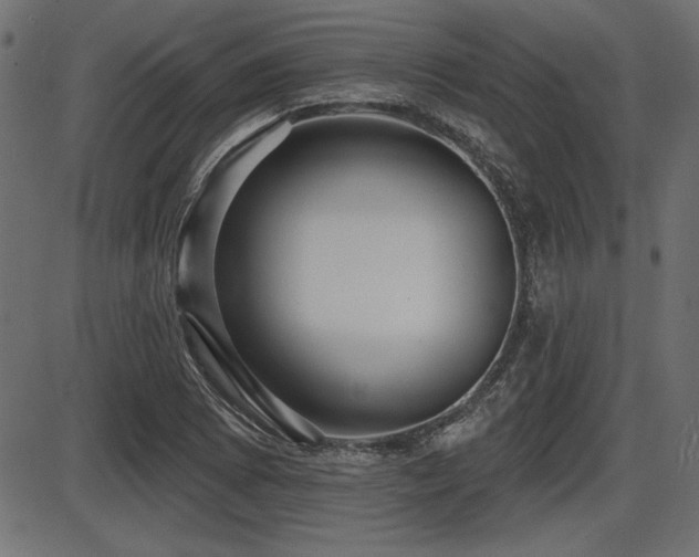 X0000087631073200705031439
