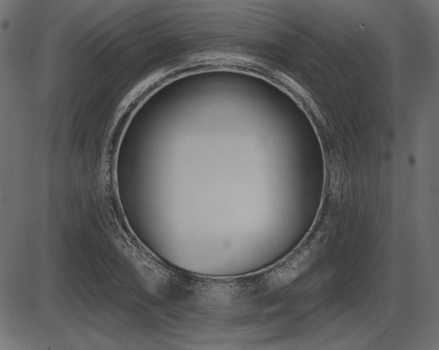 X0000087631074200705031439