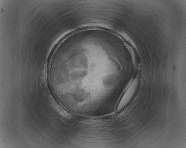 X0000087631076200705031439