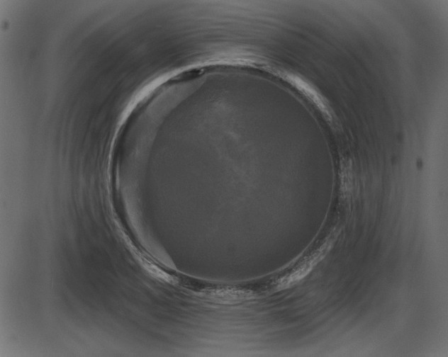 X0000087631077200705031439