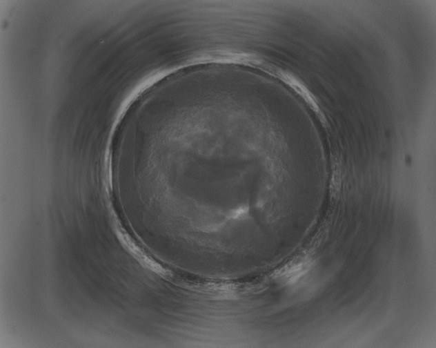X0000087631080200705031439