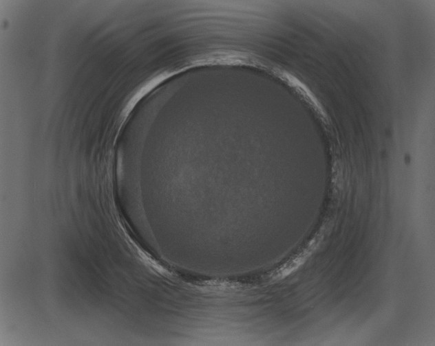 X0000087631081200705031439