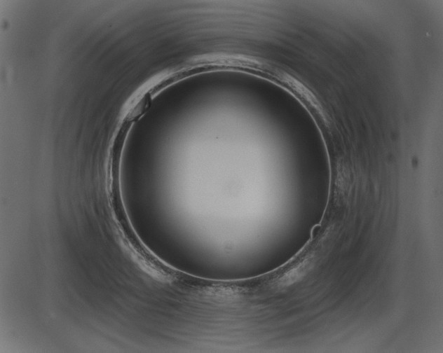 X0000087631082200705031439