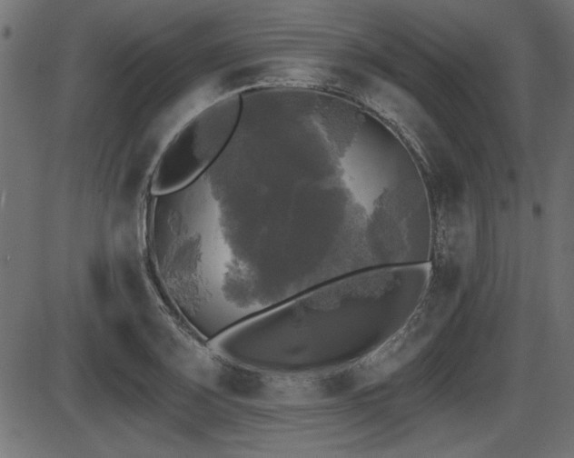 X0000087631083200705031439