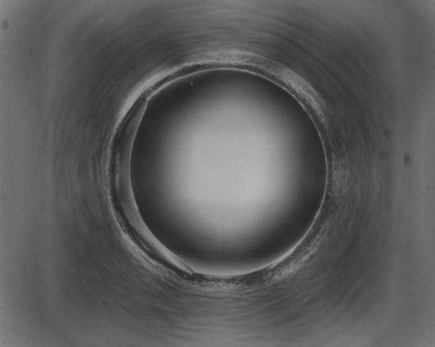 X0000087631085200705031439