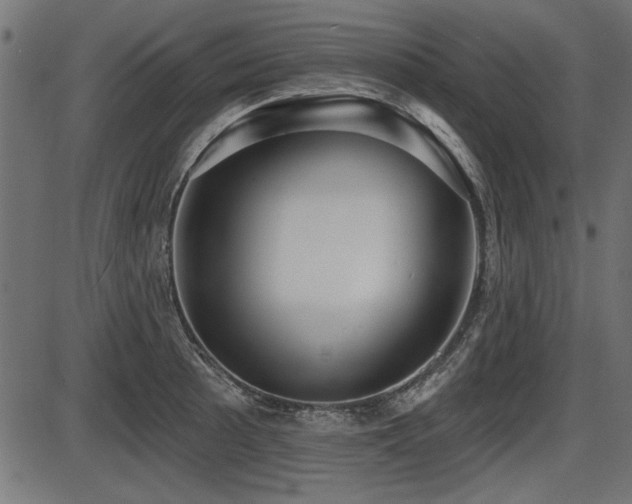 X0000087631089200705031439