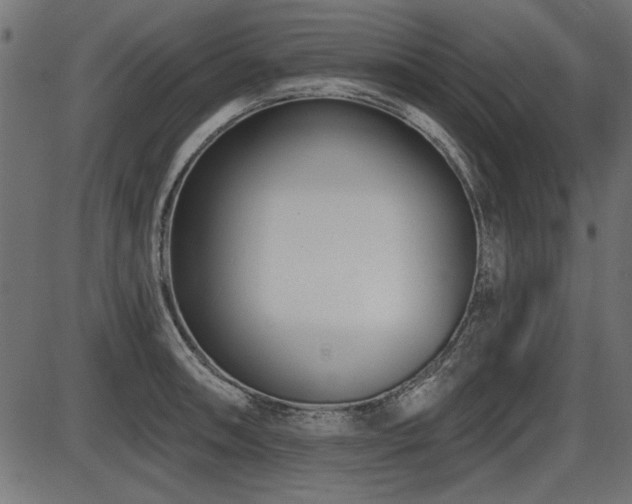 X0000087631090200705031439