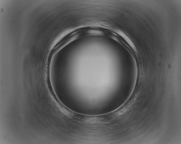 X0000087631093200705031439