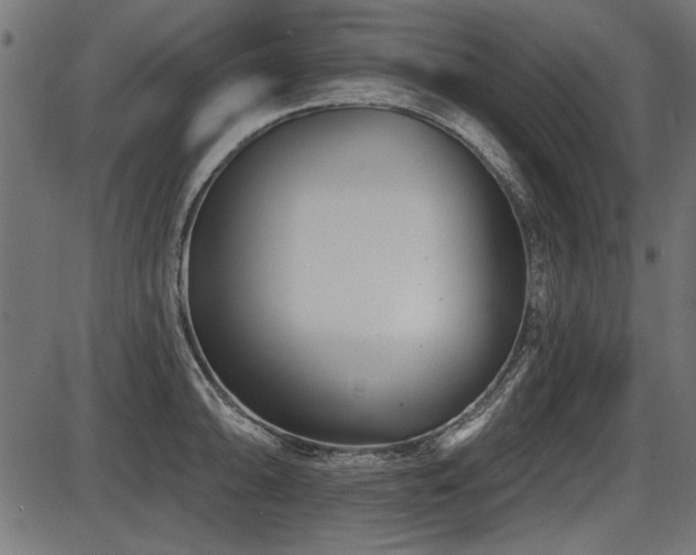 X0000087631094200705031439