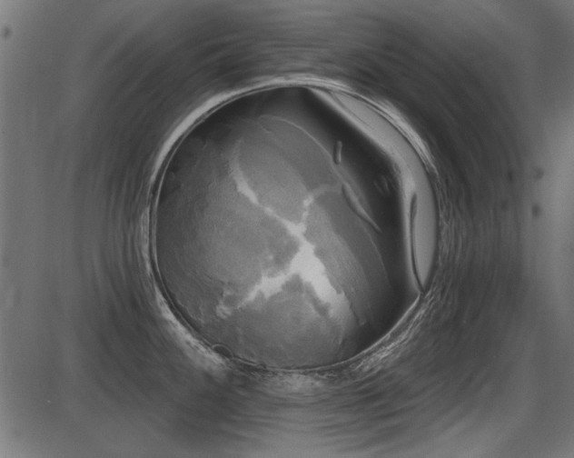 X0000087631100200705031439
