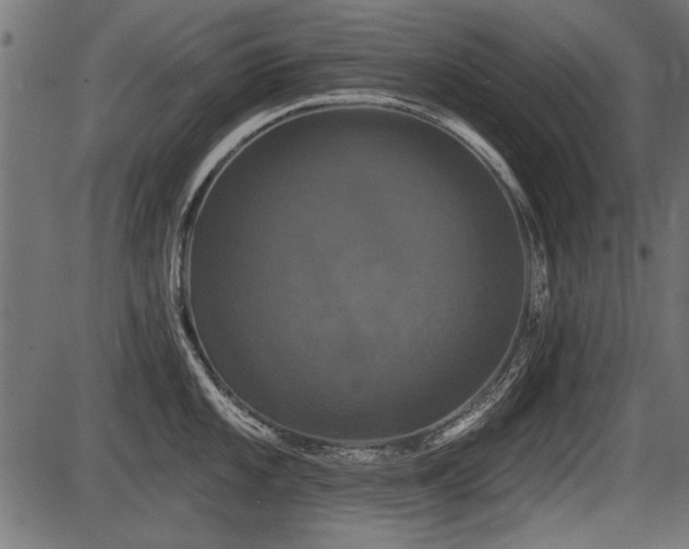 X0000087631101200705031439