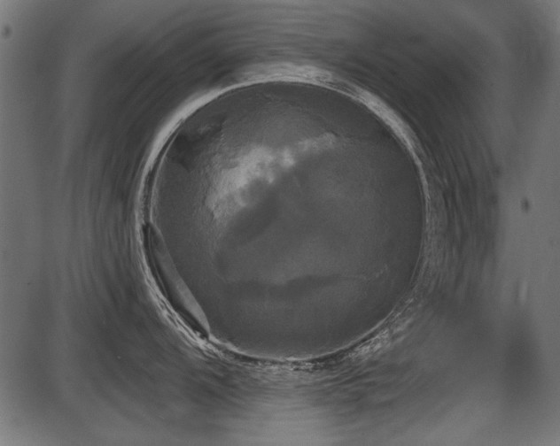 X0000087631104200705031439