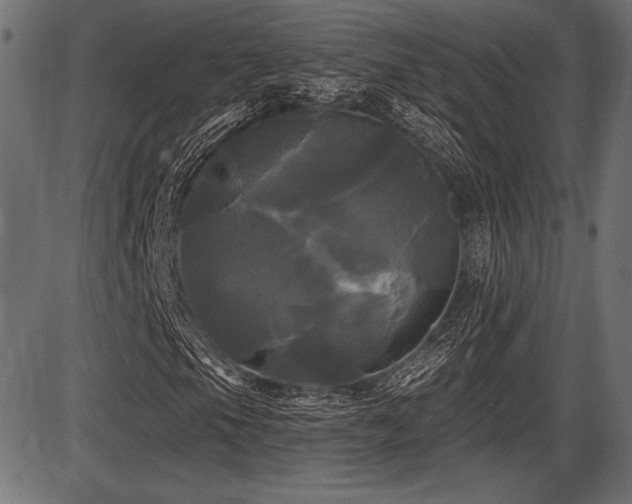 X0000087631105200705031438