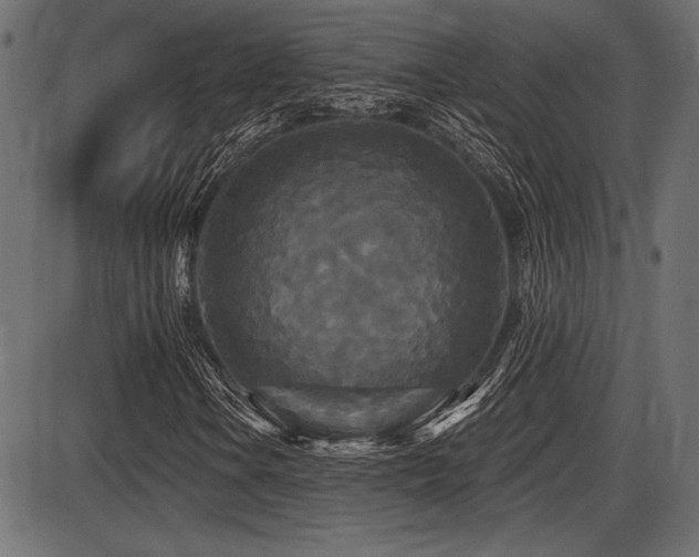 X0000087631106200705031438