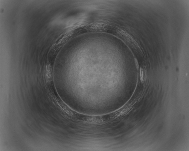X0000087631107200705031438