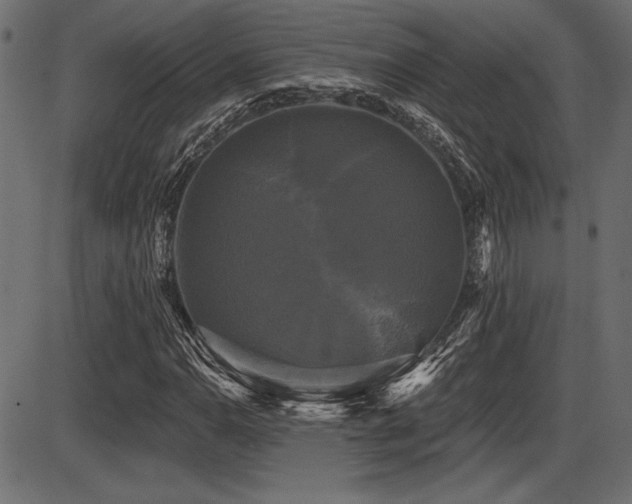 X0000087631110200705031438
