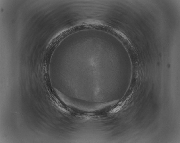 X0000087631112200705031438