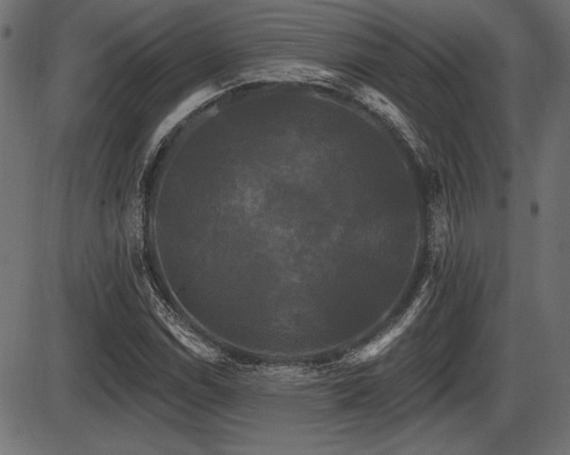 X0000087631114200705031438