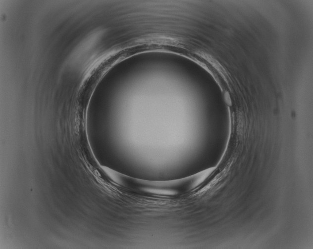 X0000087631115200705031438