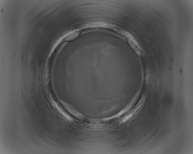 X0000087631116200705031438