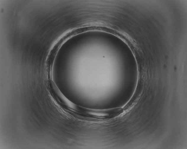 X0000087631118200705031438